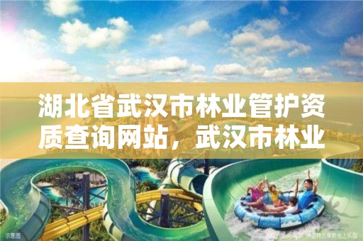 湖北省武汉市林业管护资质查询网站，武汉市林业集团公司官网