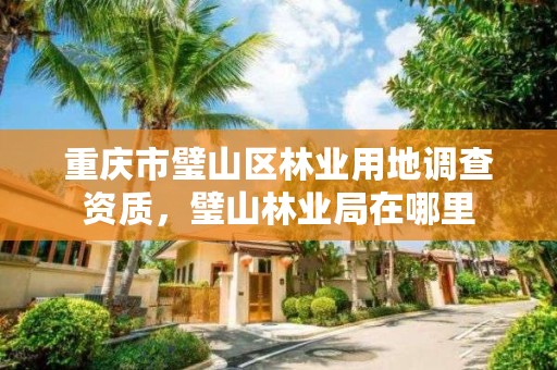 重庆市璧山区林业用地调查资质，璧山林业局在哪里