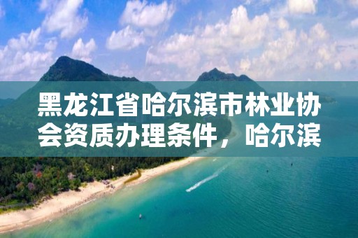 黑龙江省哈尔滨市林业协会资质办理条件，哈尔滨林业厅地址