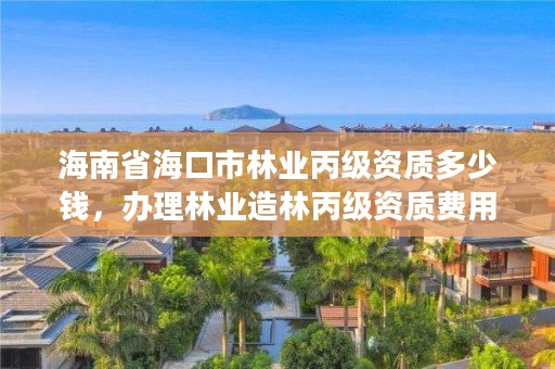 海南省海口市林业丙级资质多少钱，办理林业造林丙级资质费用