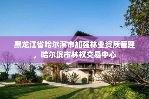 黑龙江省哈尔滨市加强林业资质管理，哈尔滨市林权交易中心