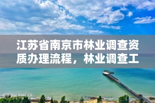 江苏省南京市林业调查资质办理流程，林业调查工资高吗?