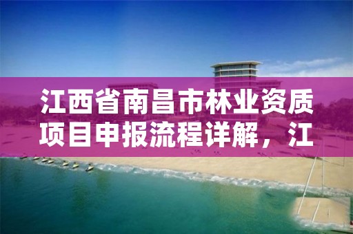 江西省南昌市林业资质项目申报流程详解，江西省林业工程师申报条件