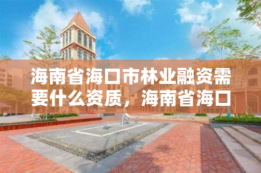 海南省海口市林业融资需要什么资质，海南省海口市林业融资需要什么资质呢