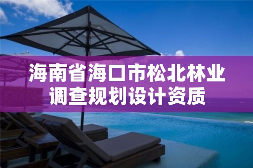 海南省海口市松北林业调查规划设计资质