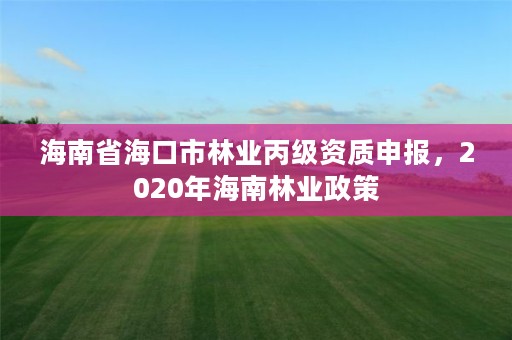 海南省海口市林业丙级资质申报，2020年海南林业政策