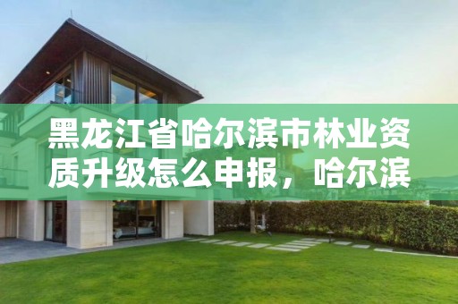 黑龙江省哈尔滨市林业资质升级怎么申报，哈尔滨市林业局直属林场