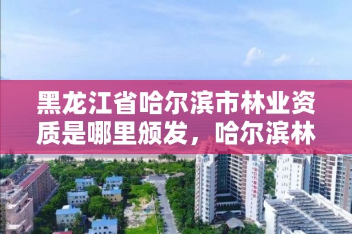 黑龙江省哈尔滨市林业资质是哪里颁发，哈尔滨林业服务总站