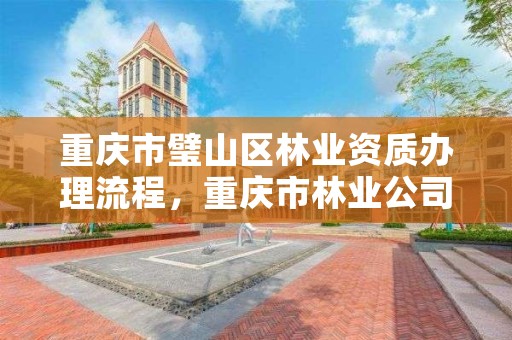 重庆市璧山区林业资质办理流程，重庆市林业公司