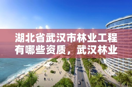 湖北省武汉市林业工程有哪些资质，武汉林业公司有哪些