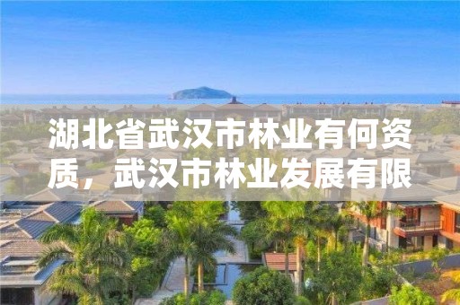 湖北省武汉市林业有何资质，武汉市林业发展有限责任公司