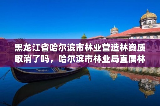 黑龙江省哈尔滨市林业营造林资质取消了吗，哈尔滨市林业局直属林场