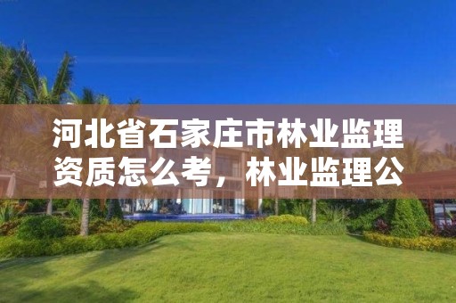 河北省石家庄市林业监理资质怎么考，林业监理公司资质有哪些