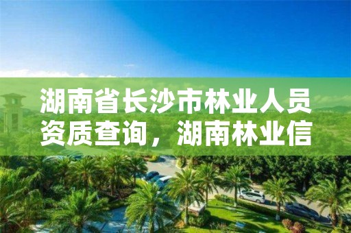 湖南省长沙市林业人员资质查询，湖南林业信息网林权证查询