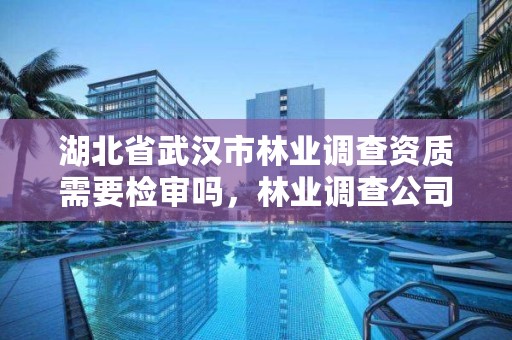 湖北省武汉市林业调查资质需要检审吗，林业调查公司