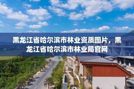 黑龙江省哈尔滨市林业资质图片，黑龙江省哈尔滨市林业局官网