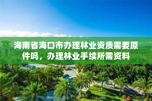 海南省海口市办理林业资质需要原件吗，办理林业手续所需资料