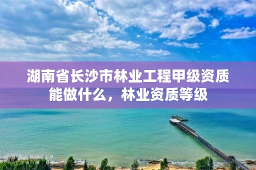 湖南省长沙市林业工程甲级资质能做什么，林业资质等级