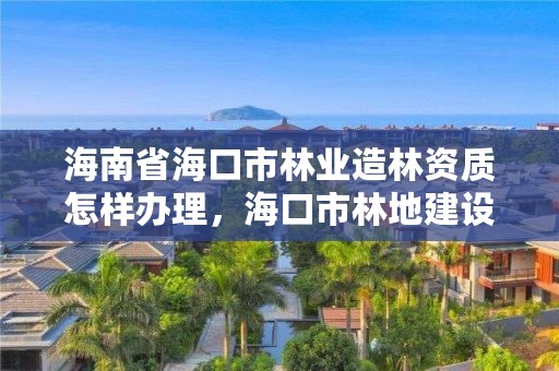 海南省海口市林业造林资质怎样办理，海口市林地建设用地指标