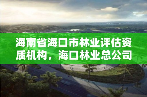 海南省海口市林业评估资质机构，海口林业总公司