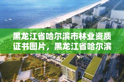 黑龙江省哈尔滨市林业资质证书图片，黑龙江省哈尔滨市林业局官网