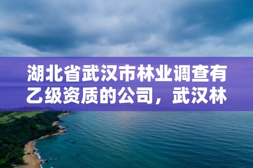 湖北省武汉市林业调查有乙级资质的公司，武汉林业调查规划设计院