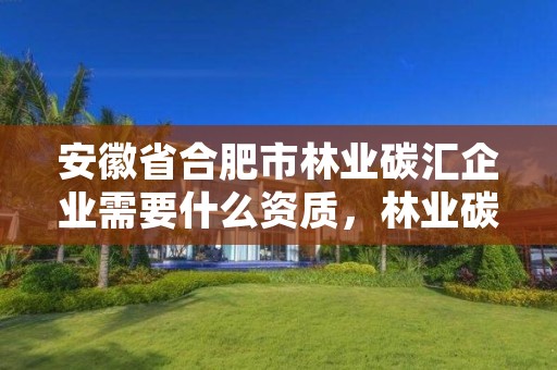 安徽省合肥市林业碳汇企业需要什么资质，林业碳汇项目审定和核证指南