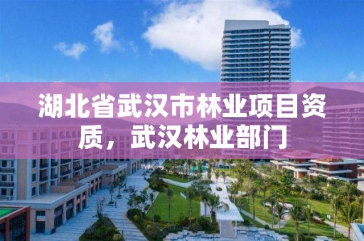 湖北省武汉市林业项目资质，武汉林业部门