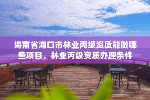 海南省海口市林业丙级资质能做哪些项目，林业丙级资质办理条件