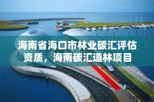 海南省海口市林业碳汇评估资质，海南碳汇造林项目