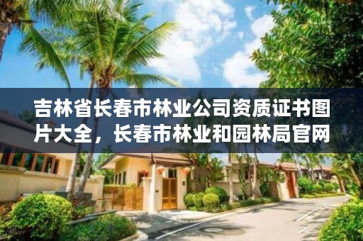 吉林省长春市林业公司资质证书图片大全，长春市林业和园林局官网