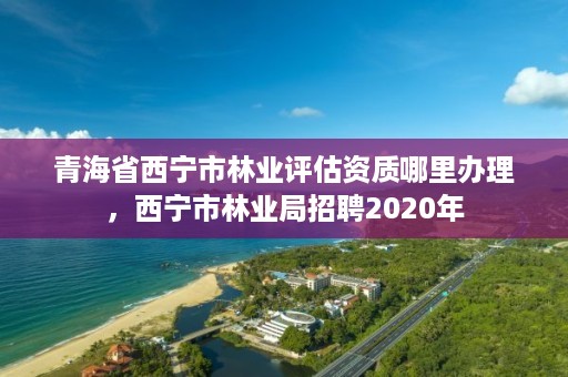 青海省西宁市林业评估资质哪里办理，西宁市林业局招聘2020年