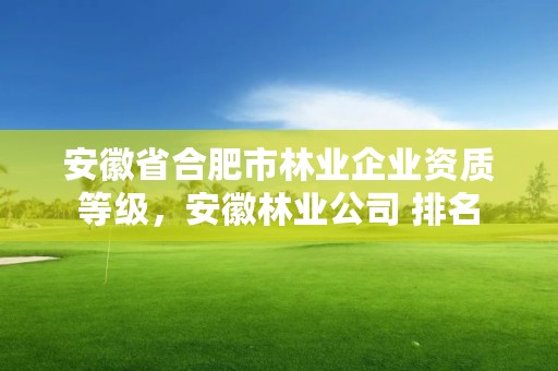 安徽省合肥市林业企业资质等级，安徽林业公司 排名