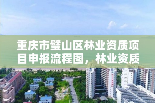 重庆市璧山区林业资质项目申报流程图，林业资质 重庆