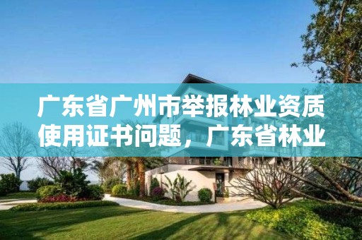 广东省广州市举报林业资质使用证书问题，广东省林业厅举报电话