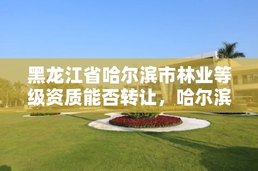 黑龙江省哈尔滨市林业等级资质能否转让，哈尔滨附近的林业局