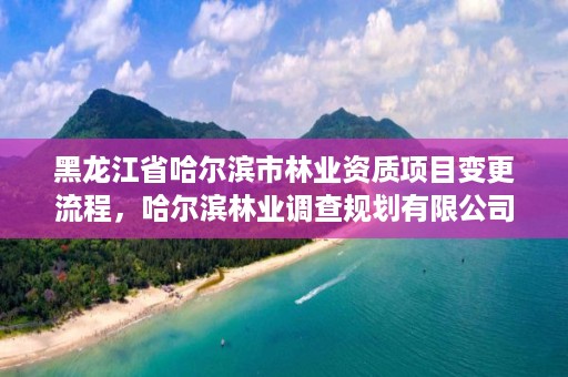 黑龙江省哈尔滨市林业资质项目变更流程，哈尔滨林业调查规划有限公司