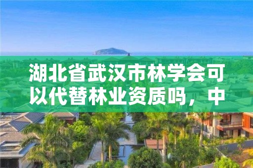 湖北省武汉市林学会可以代替林业资质吗，中国林学会副会长