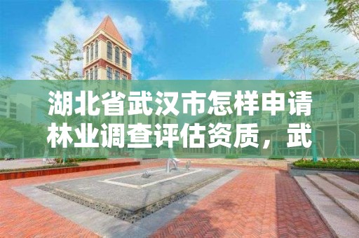 湖北省武汉市怎样申请林业调查评估资质，武汉市林业调查规划设计有限公司