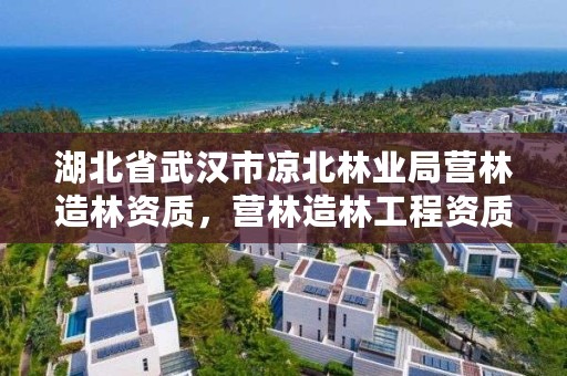 湖北省武汉市凉北林业局营林造林资质，营林造林工程资质