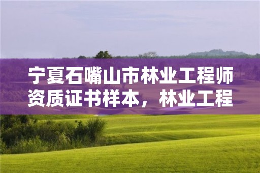 宁夏石嘴山市林业工程师资质证书样本，林业工程师资格