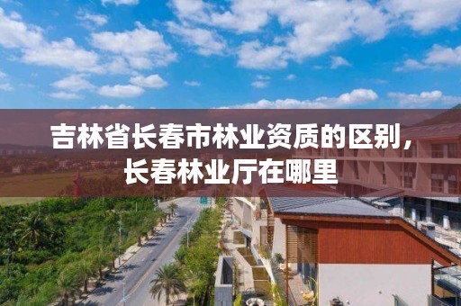 吉林省长春市林业资质的区别，长春林业厅在哪里