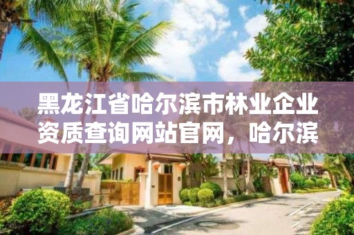 黑龙江省哈尔滨市林业企业资质查询网站官网，哈尔滨林业集团