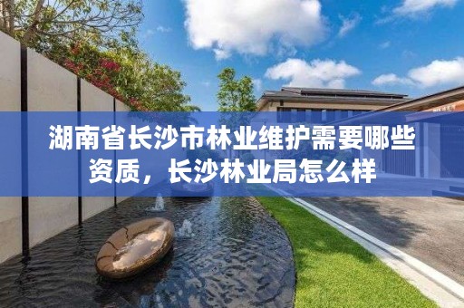 湖南省长沙市林业维护需要哪些资质，长沙林业局怎么样