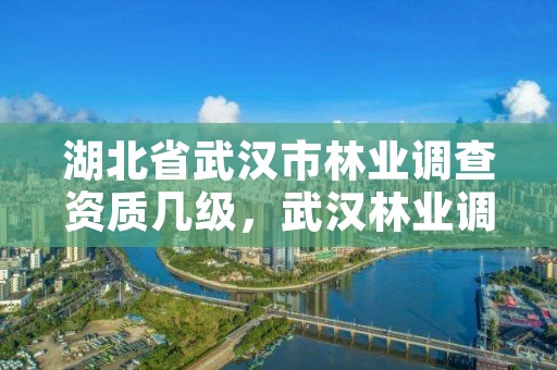 湖北省武汉市林业调查资质几级，武汉林业调查规划院