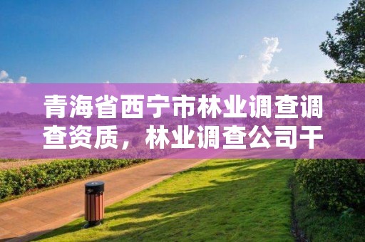 青海省西宁市林业调查调查资质，林业调查公司干什么的