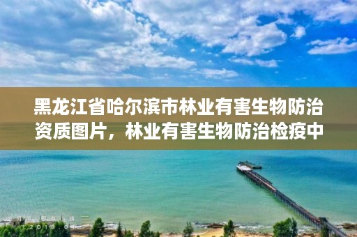 黑龙江省哈尔滨市林业有害生物防治资质图片，林业有害生物防治检疫中心