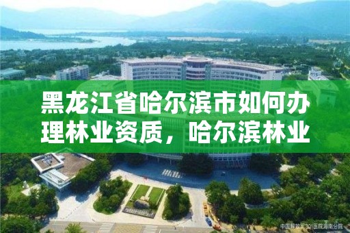 黑龙江省哈尔滨市如何办理林业资质，哈尔滨林业公司