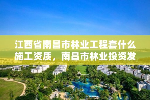 江西省南昌市林业工程套什么施工资质，南昌市林业投资发展有限公司