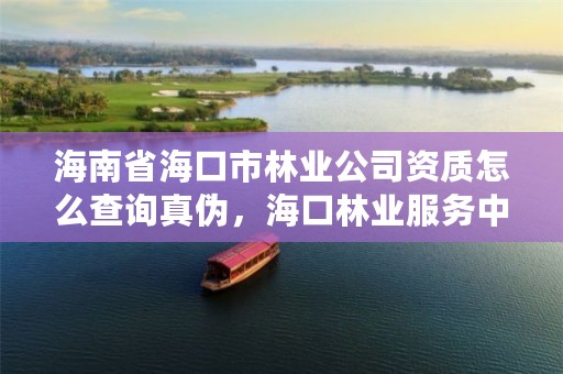 海南省海口市林业公司资质怎么查询真伪，海口林业服务中心